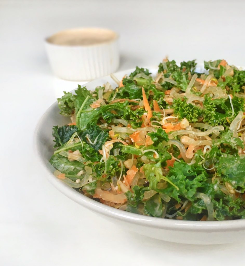 Raw Kelp Kale Noodle Salad main