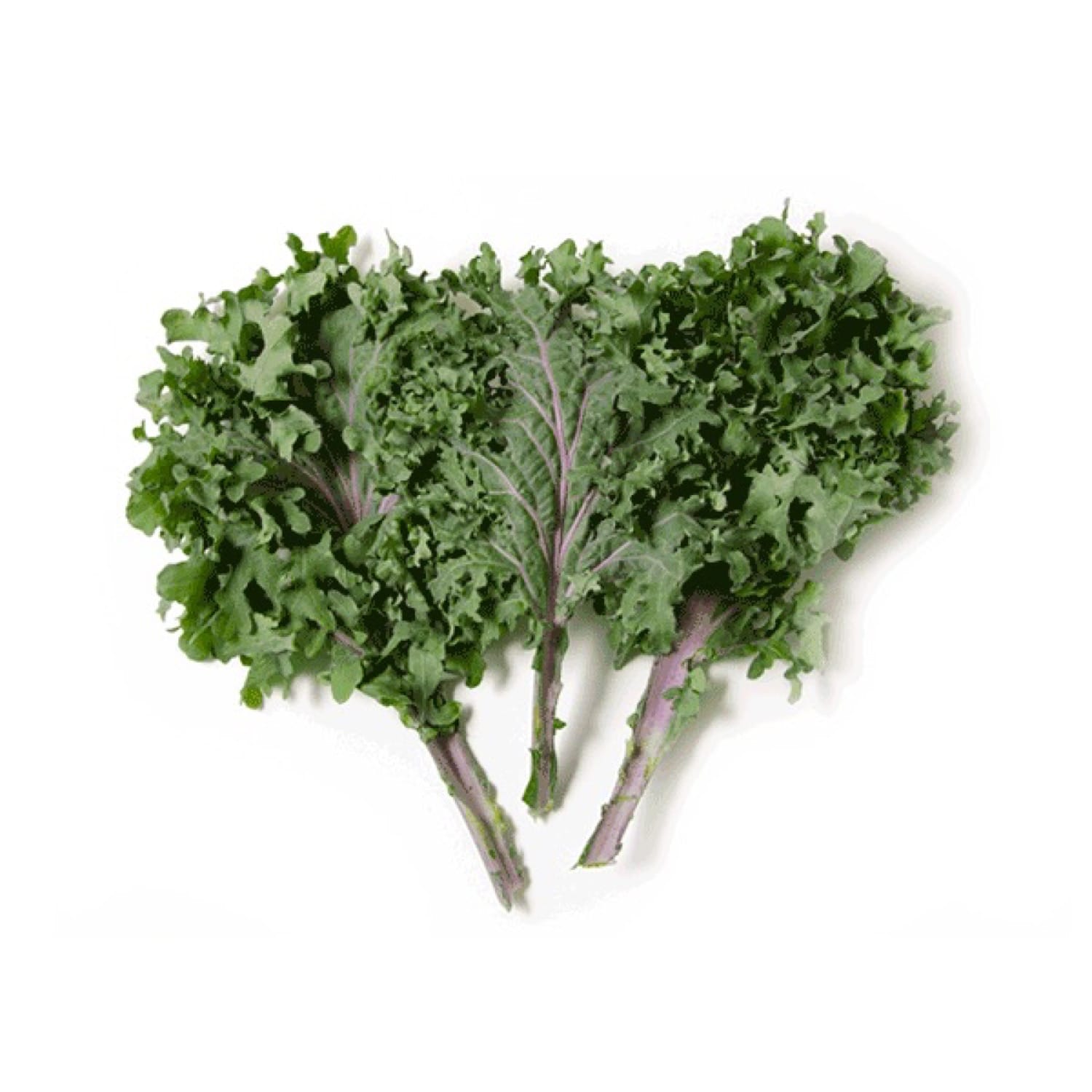 Healthy Kale Glow Salad Recipe