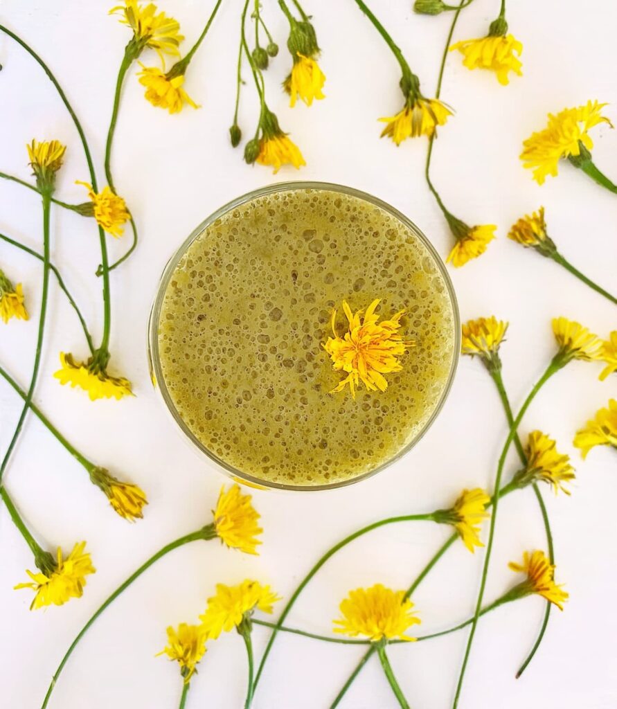 Dandelion Healing Smoothie Recipe