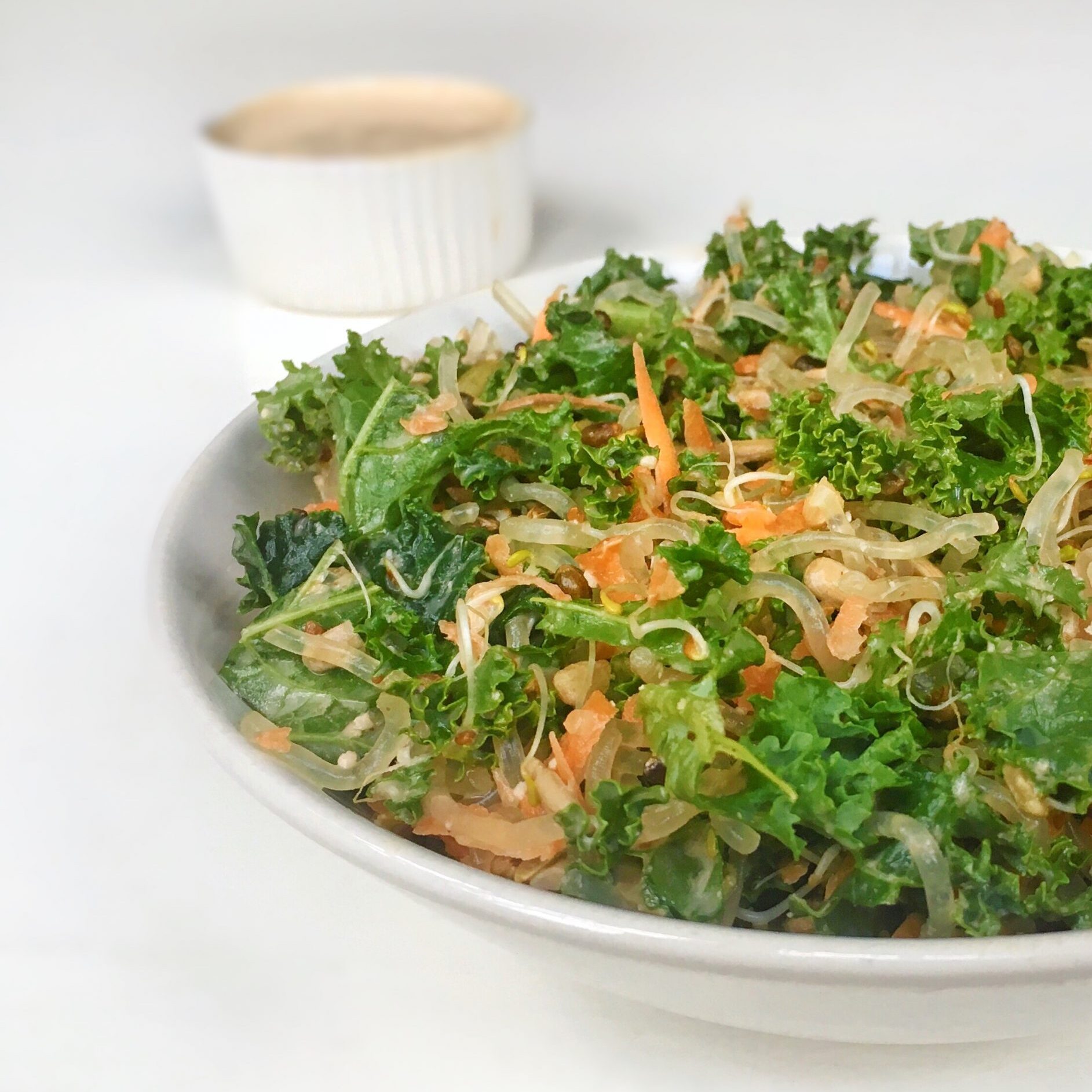 Raw Kelp Kale Noodle Salad main